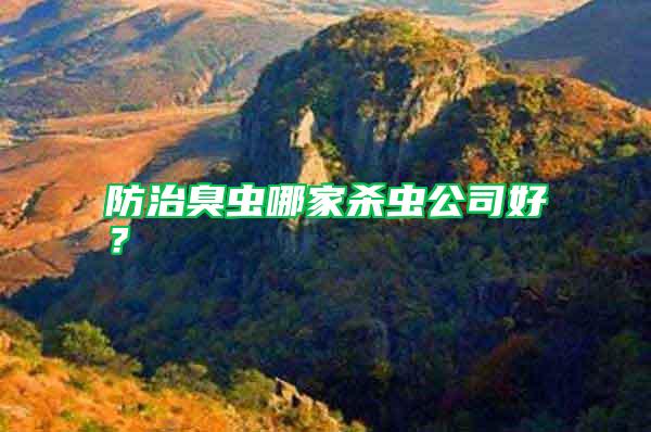 防治臭蟲(chóng)哪家殺蟲(chóng)公司好？