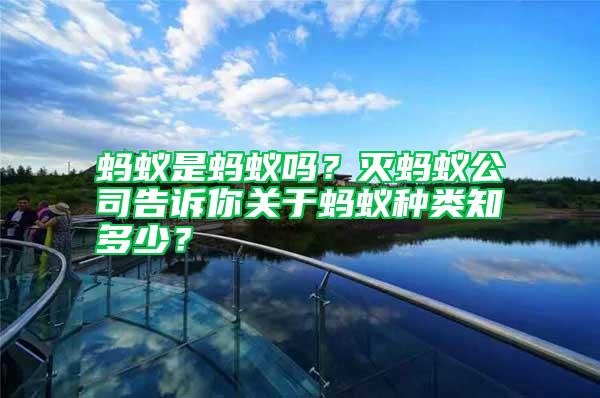 螞蟻是螞蟻嗎？滅螞蟻公司告訴你關(guān)于螞蟻種類知多少？
