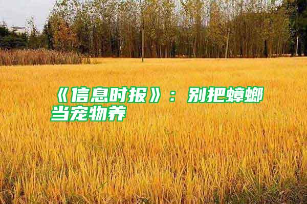 《信息時(shí)報(bào)》：別把蟑螂當(dāng)寵物養(yǎng)
