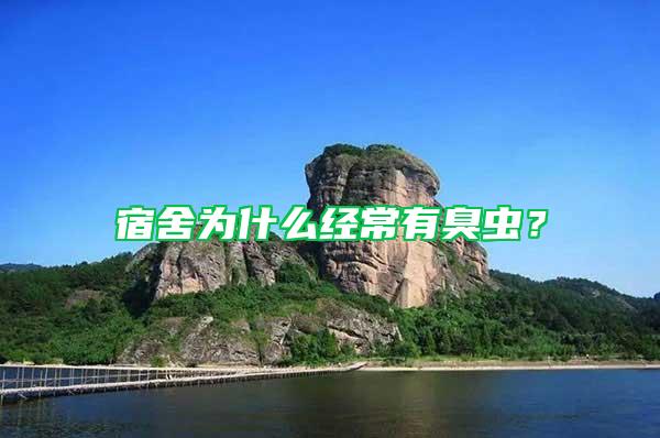 宿舍為什么經(jīng)常有臭蟲？