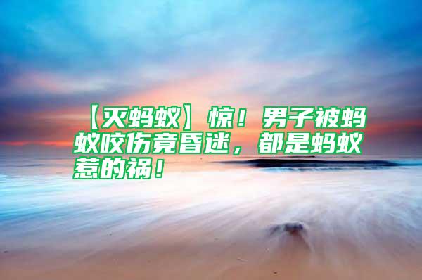 【滅螞蟻】驚！男子被螞蟻咬傷竟昏迷，都是螞蟻惹的禍！
