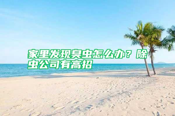 家里發(fā)現(xiàn)臭蟲怎么辦？除蟲公司有高招
