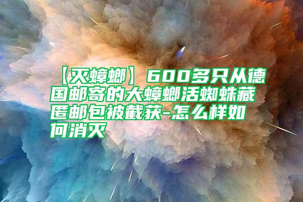 【滅蟑螂】600多只從德國(guó)郵寄的大蟑螂活蜘蛛藏匿郵包被截獲-怎么樣如何消滅