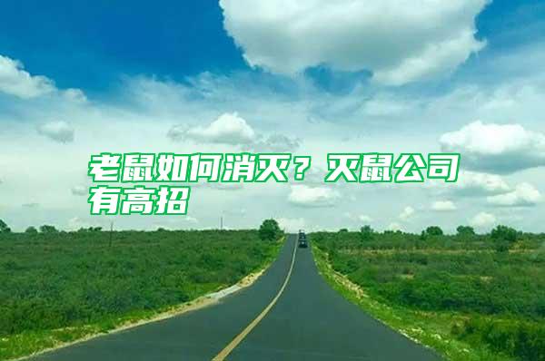 老鼠如何消滅？滅鼠公司有高招