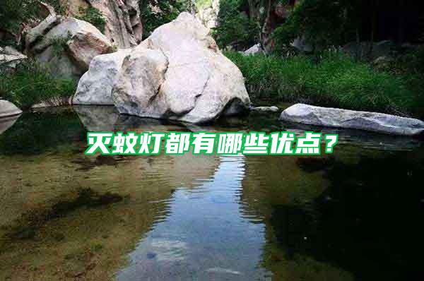 滅蚊燈都有哪些優(yōu)點(diǎn)？