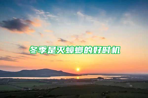 冬季是滅蟑螂的好時機(jī)