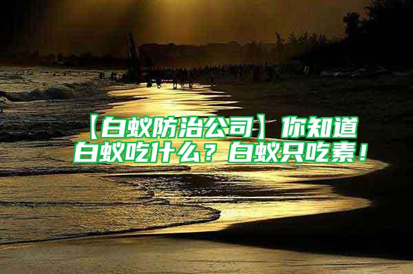 【白蟻防治公司】你知道白蟻吃什么？白蟻只吃素！