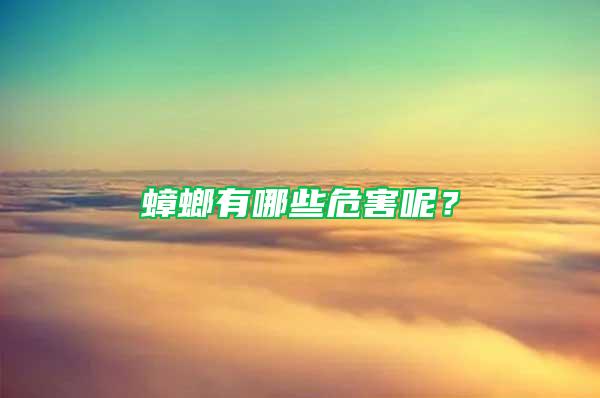 蟑螂有哪些危害呢？