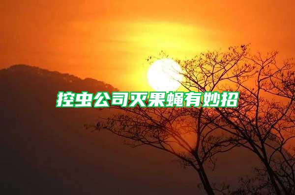 控蟲(chóng)公司滅果蠅有妙招