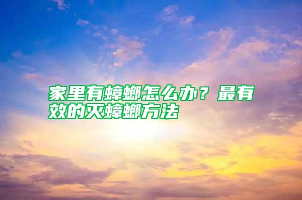 家里有蟑螂怎么辦？最有效的滅蟑螂方法
