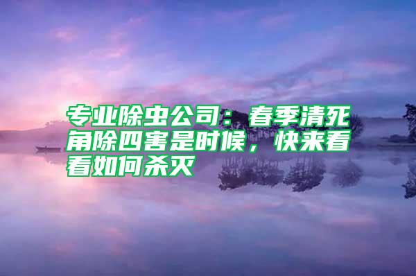 專業(yè)除蟲公司：春季清死角除四害是時(shí)候，快來看看如何殺滅