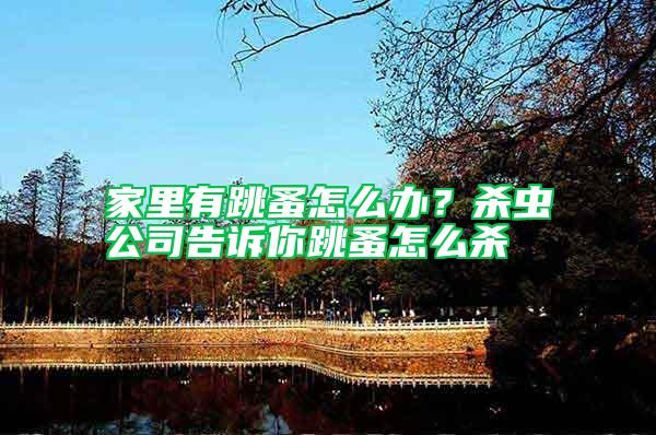家里有跳蚤怎么辦？殺蟲(chóng)公司告訴你跳蚤怎么殺
