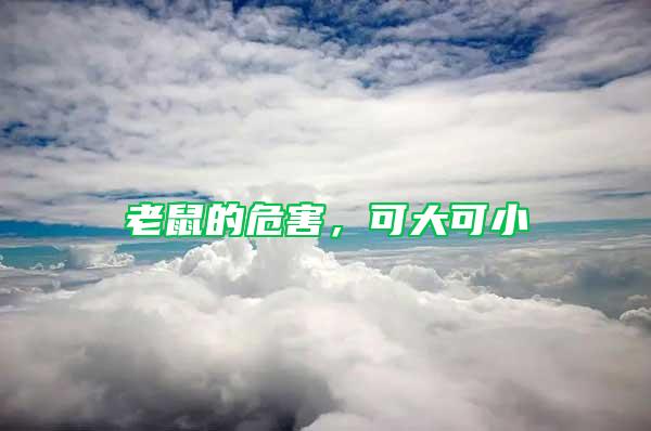 老鼠的危害，可大可小