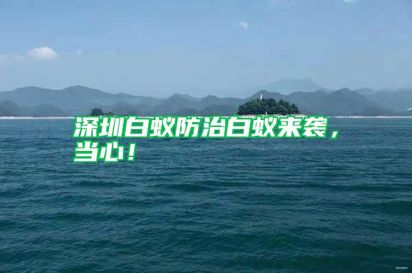 深圳白蟻防治白蟻來襲，當心！
