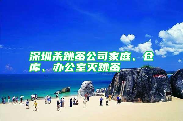 深圳殺跳蚤公司家庭、倉庫、辦公室滅跳蚤