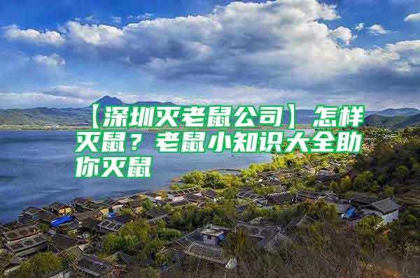 【深圳滅老鼠公司】怎樣滅鼠？老鼠小知識大全助你滅鼠