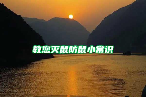 教您滅鼠防鼠小常識(shí)