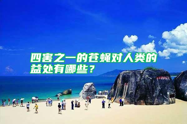 四害之一的蒼蠅對人類的益處有哪些？