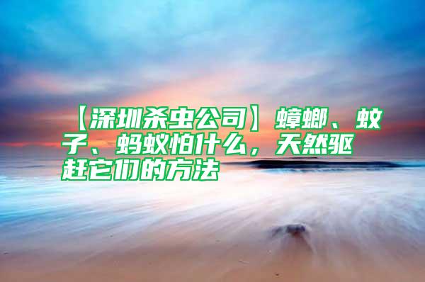 【深圳殺蟲(chóng)公司】蟑螂、蚊子、螞蟻怕什么，天然驅(qū)趕它們的方法