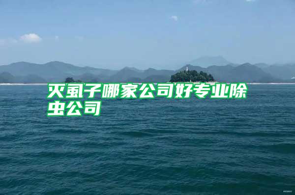 滅虱子哪家公司好專業(yè)除蟲(chóng)公司