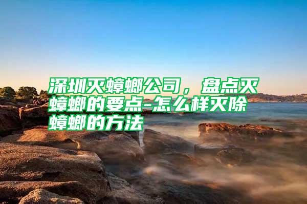 深圳滅蟑螂公司，盤點滅蟑螂的要點-怎么樣滅除蟑螂的方法
