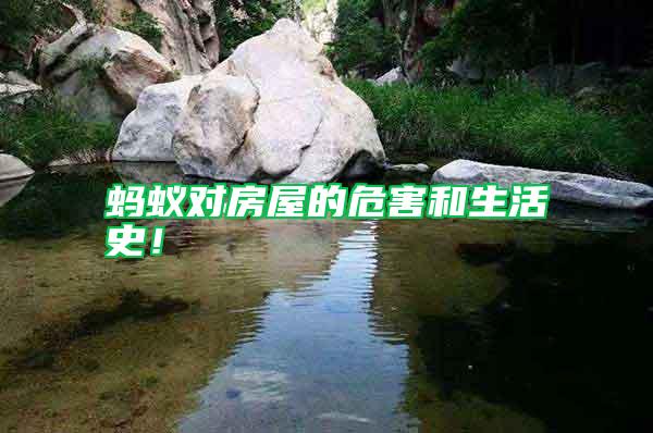 螞蟻對房屋的危害和生活史！