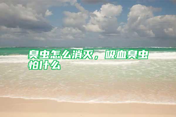 臭蟲怎么消滅，吸血臭蟲怕什么
