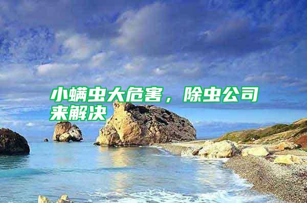 小螨蟲大危害，除蟲公司來(lái)解決