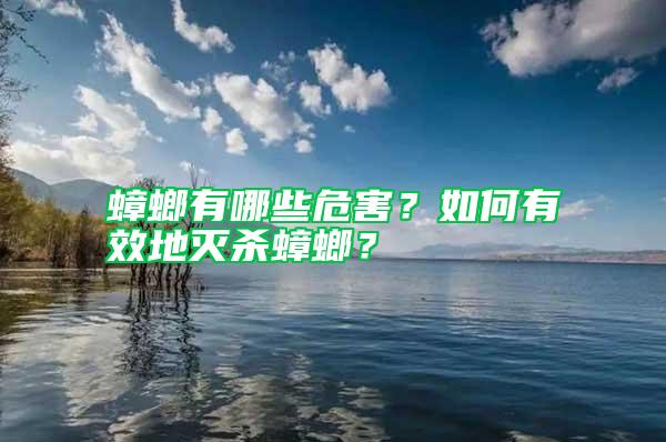 蟑螂有哪些危害？如何有效地滅殺蟑螂？