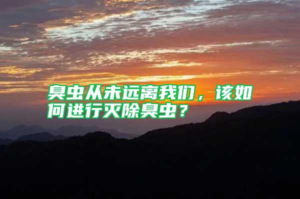 臭蟲從未遠離我們，該如何進行滅除臭蟲？