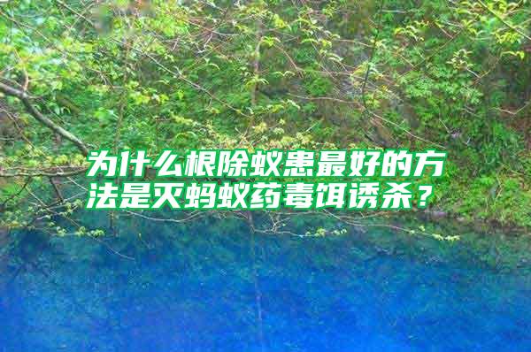為什么根除蟻患最好的方法是滅螞蟻藥毒餌誘殺？