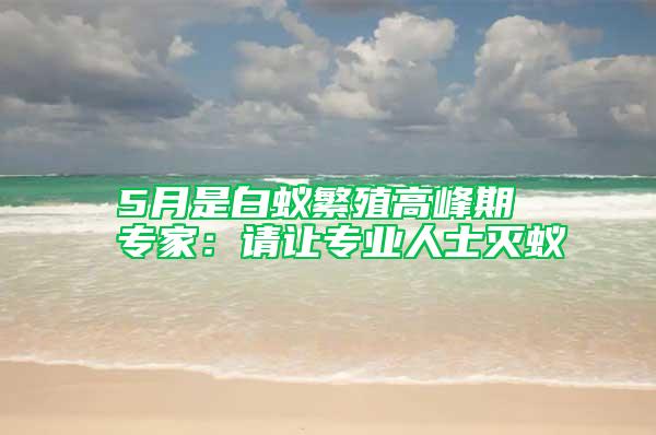 5月是白蟻繁殖高峰期 專(zhuān)家：請(qǐng)讓專(zhuān)業(yè)人士滅蟻