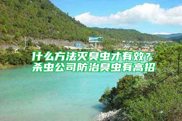 什么方法滅臭蟲才有效？殺蟲公司防治臭蟲有高招
