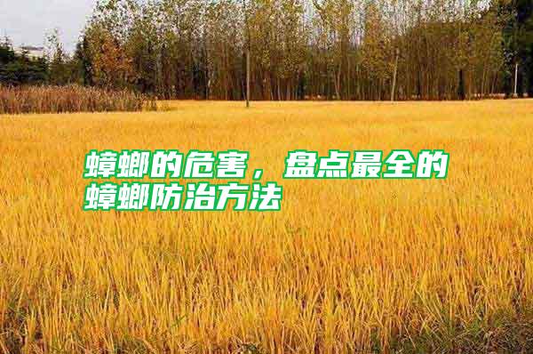 蟑螂的危害，盤點(diǎn)最全的蟑螂防治方法