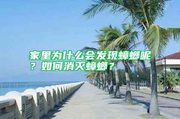 家里為什么會(huì)發(fā)現(xiàn)蟑螂呢？如何消滅蟑螂？