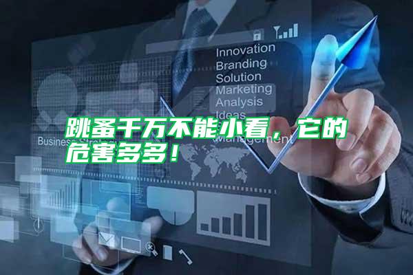 跳蚤千萬不能小看，它的危害多多！