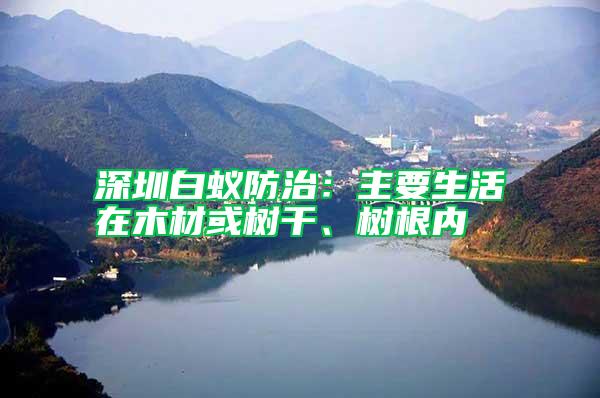 深圳白蟻防治：主要生活在木材或樹干、樹根內(nèi)