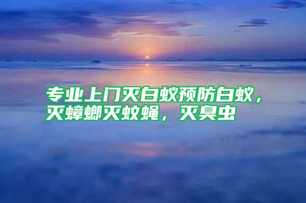 專業(yè)上門滅白蟻預(yù)防白蟻，滅蟑螂滅蚊蠅，滅臭蟲