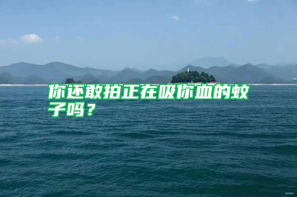 你還敢拍正在吸你血的蚊子嗎？