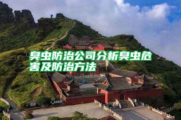 臭蟲(chóng)防治公司分析臭蟲(chóng)危害及防治方法