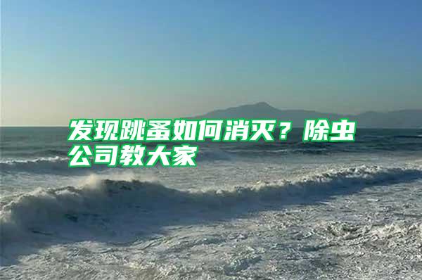 發(fā)現(xiàn)跳蚤如何消滅？除蟲(chóng)公司教大家