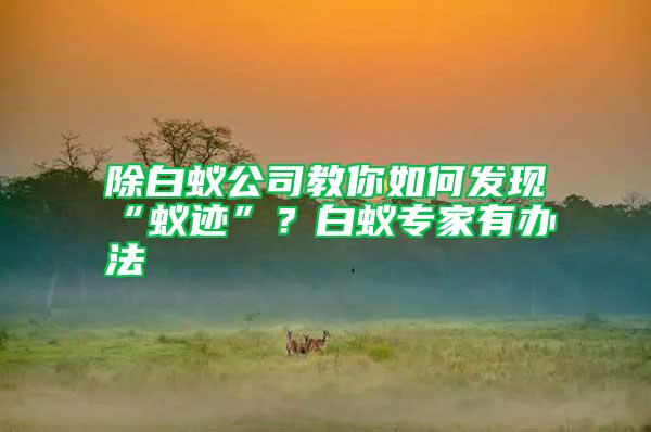 除白蟻公司教你如何發(fā)現(xiàn)“蟻跡”？白蟻專(zhuān)家有辦法