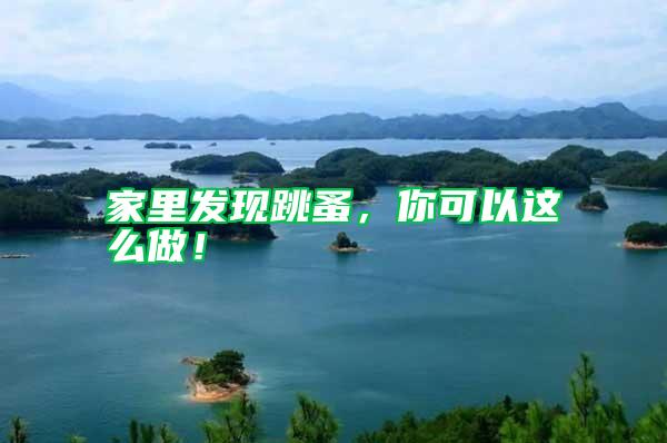 家里發(fā)現(xiàn)跳蚤，你可以這么做！