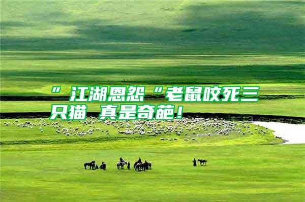 ”江湖恩怨“老鼠咬死三只貓 真是奇葩！