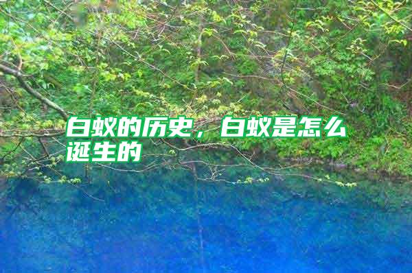 白蟻的歷史，白蟻是怎么誕生的