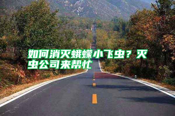 如何消滅蛾蠓小飛蟲？滅蟲公司來幫忙