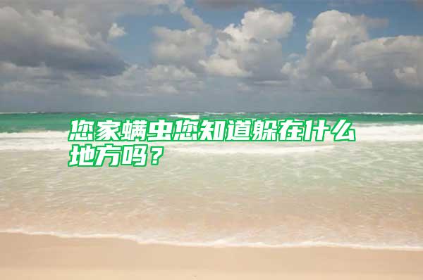 您家螨蟲您知道躲在什么地方嗎？