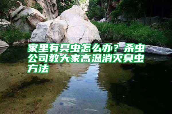 家里有臭蟲怎么辦？殺蟲公司教大家高溫消滅臭蟲方法