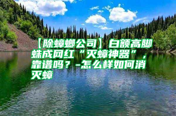 【除蟑螂公司】白額高腳蛛成網(wǎng)紅“滅蟑神器”，靠譜嗎？-怎么樣如何消滅蟑