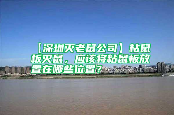 【深圳滅老鼠公司】粘鼠板滅鼠，應(yīng)該將粘鼠板放置在哪些位置？